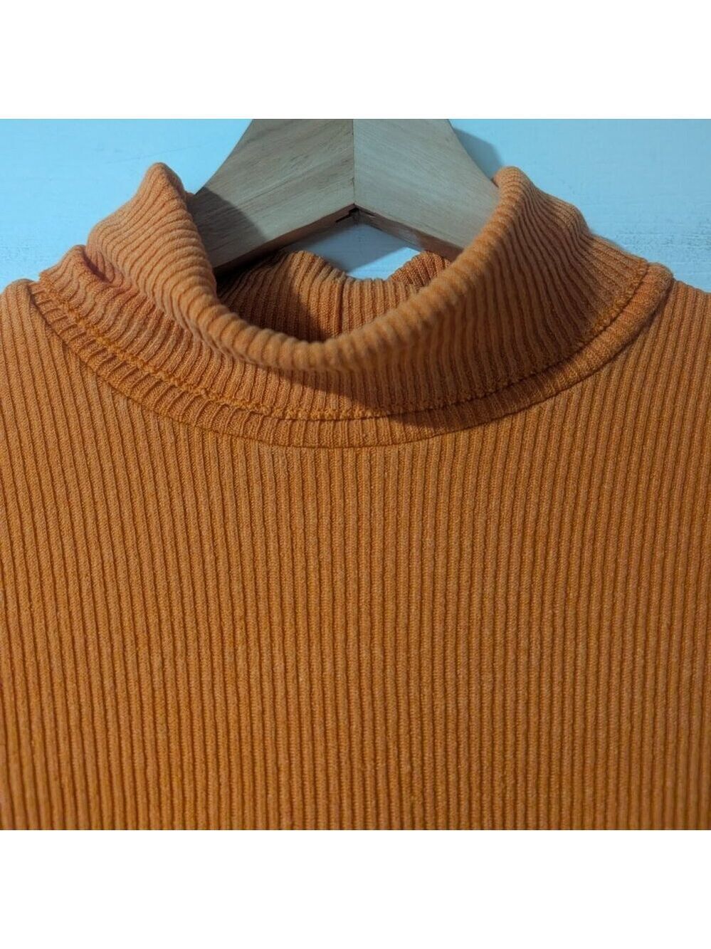 Aritzia Wilfred Free | Nova Cropped Ribbed Turtleneck In Orange - Picture 8 of 10